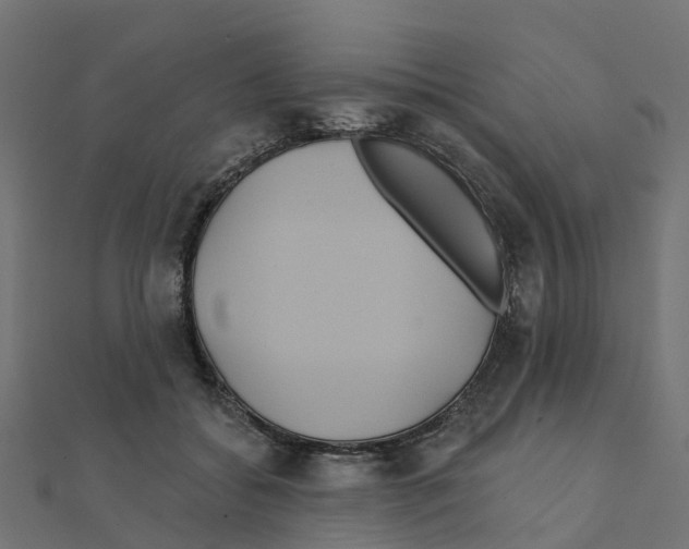 X0000111240556200907301309