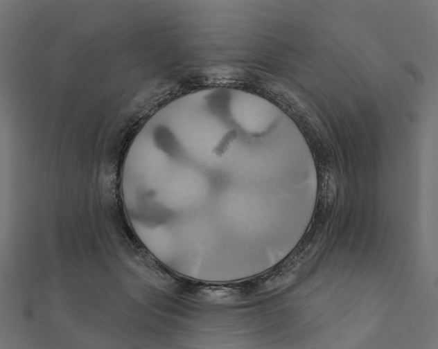 X0000111240557200907301309
