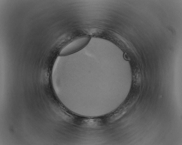 X0000111240558200907301309