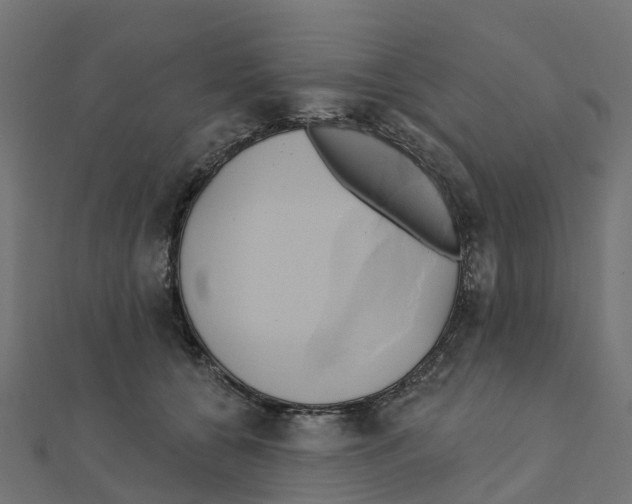 X0000111240560200907301309