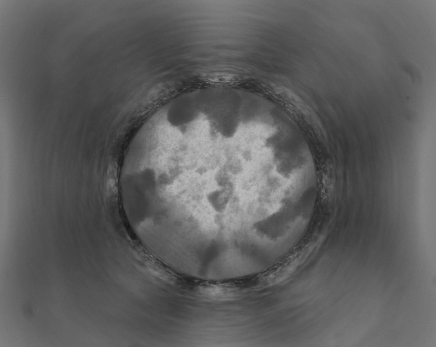 X0000111240561200907301309