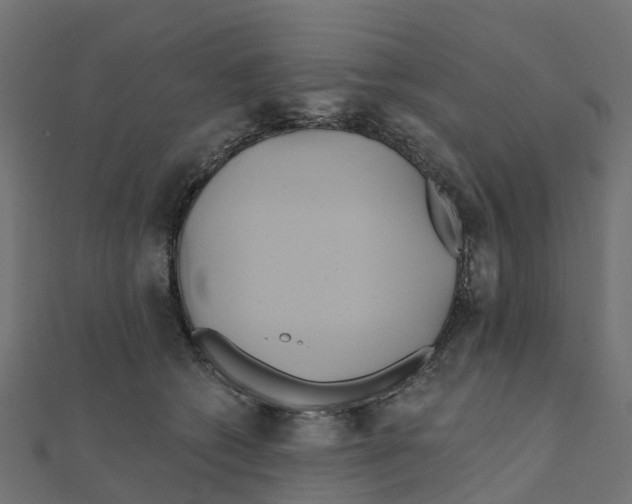 X0000111240562200907301309