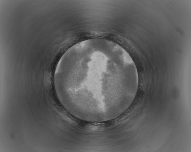 X0000111240563200907301309