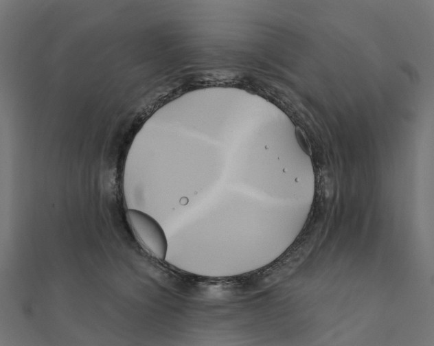X0000111240564200907301309
