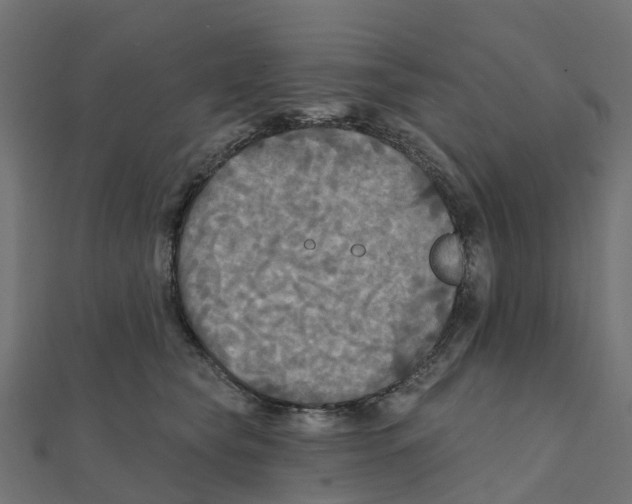X0000111240565200907301309