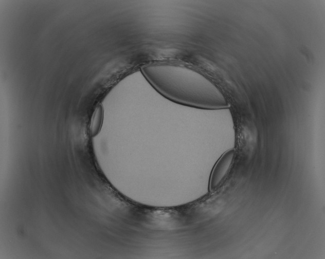 X0000111240566200907301309
