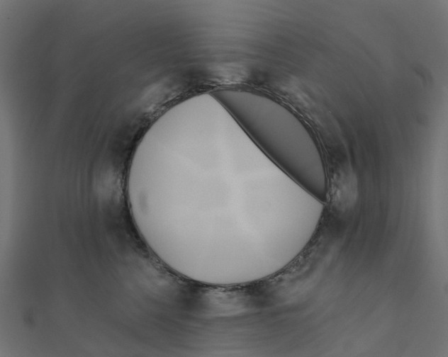 X0000111240568200907301309