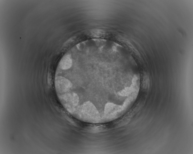 X0000111240569200907301309