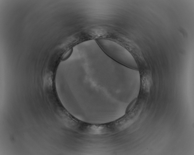 X0000111240570200907301309