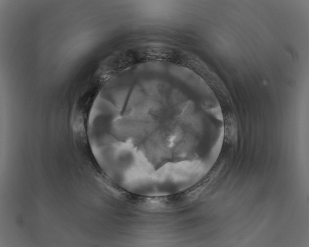 X0000111240573200907301309