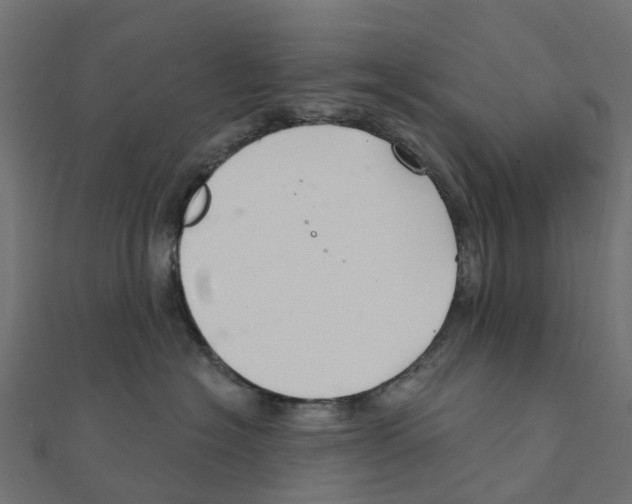 X0000111240574200907301309