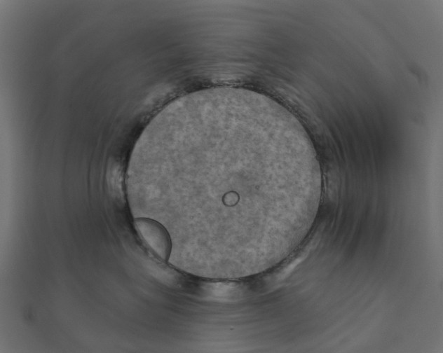 X0000111240575200907301309