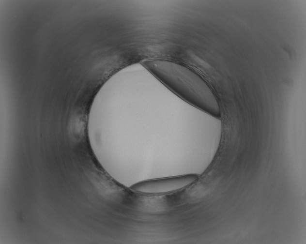 X0000111240576200907301309