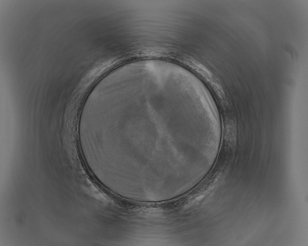 X0000111240577200907301308