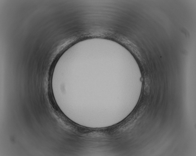 X0000111240578200907301308