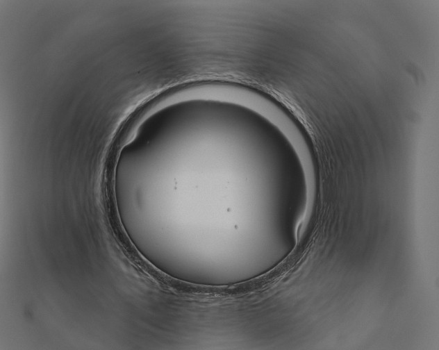 X0000111240579200907301308