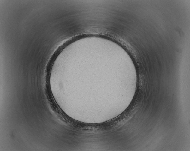 X0000111240580200907301308