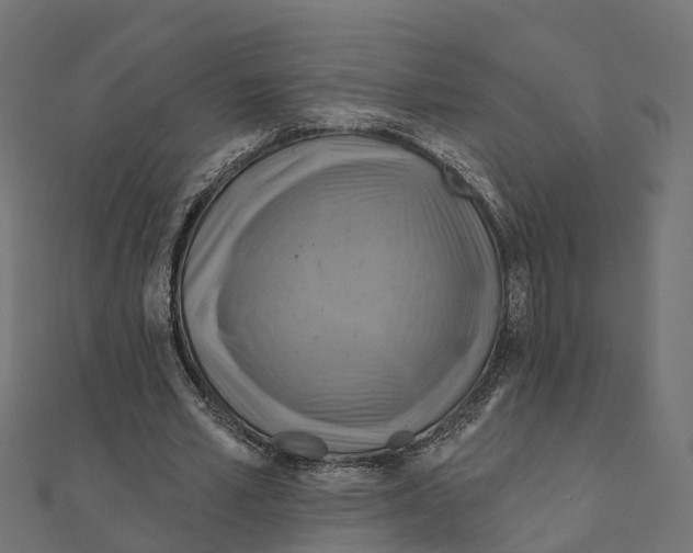 X0000111240581200907301308