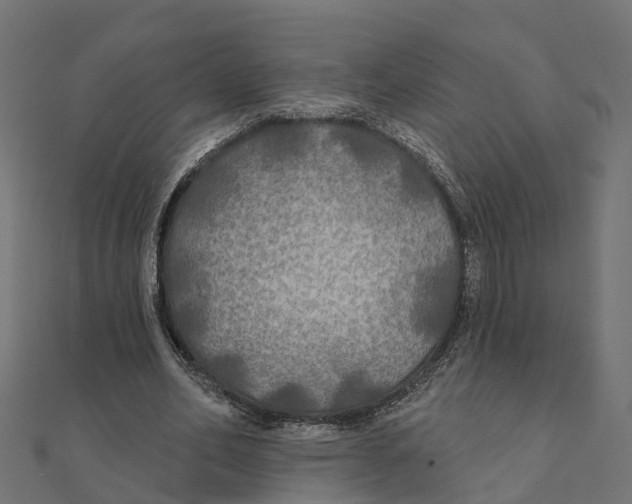 X0000111240582200907301308