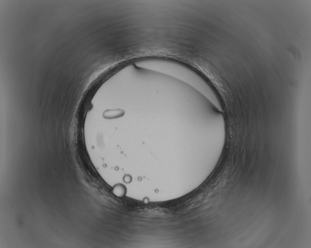 X0000111240583200907301308