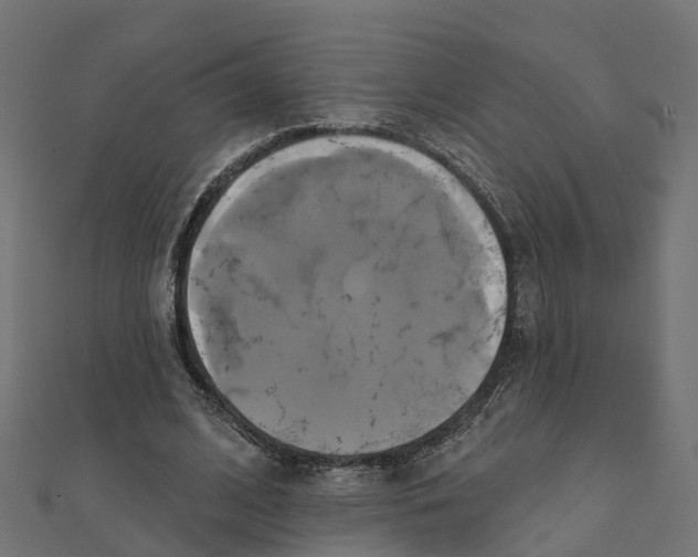 X0000111240584200907301308