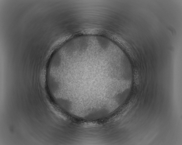 X0000111240586200907301308