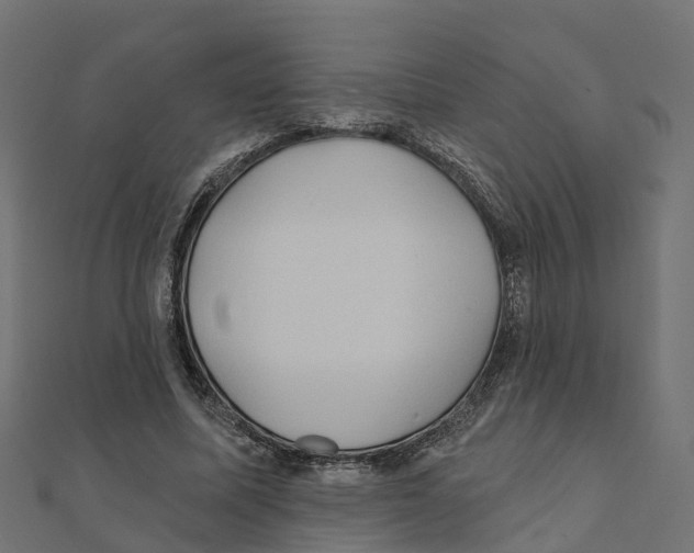 X0000111240587200907301308