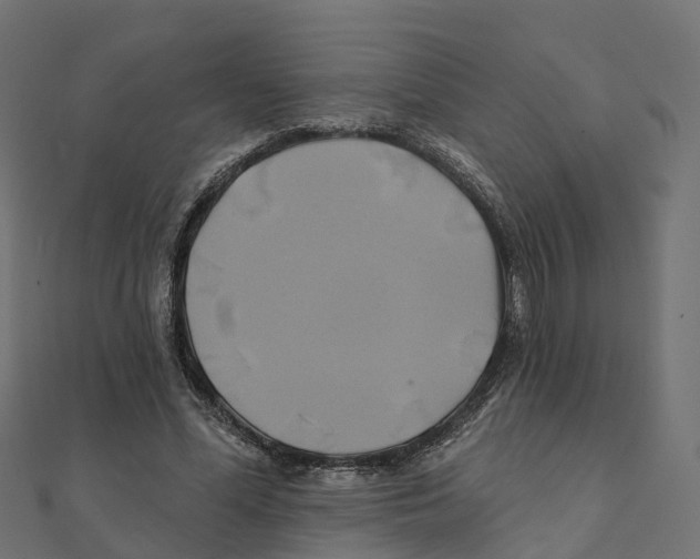 X0000111240588200907301308