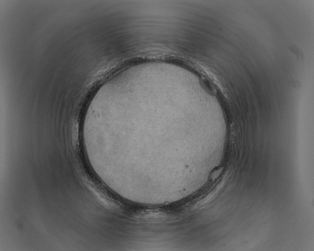 X0000111240589200907301308