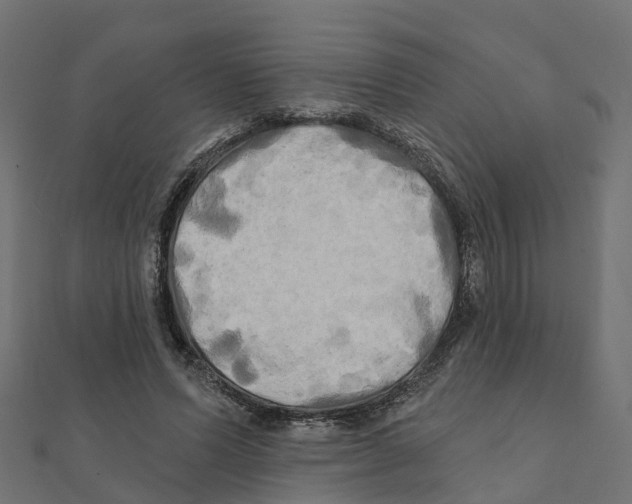 X0000111240591200907301308
