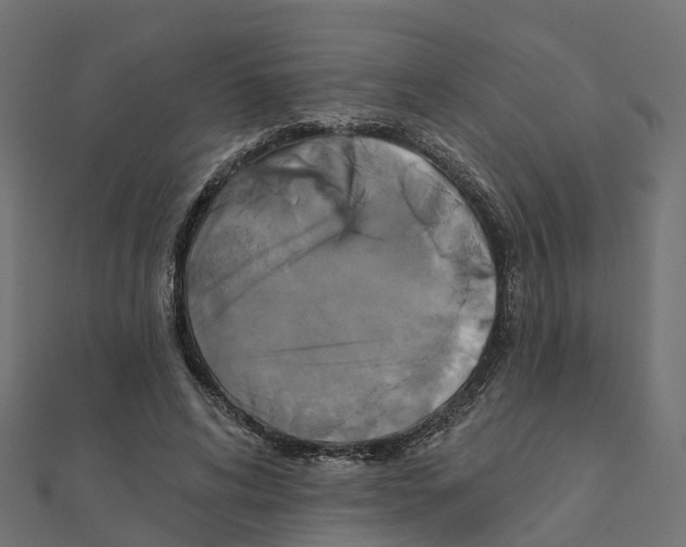 X0000111240592200907301308