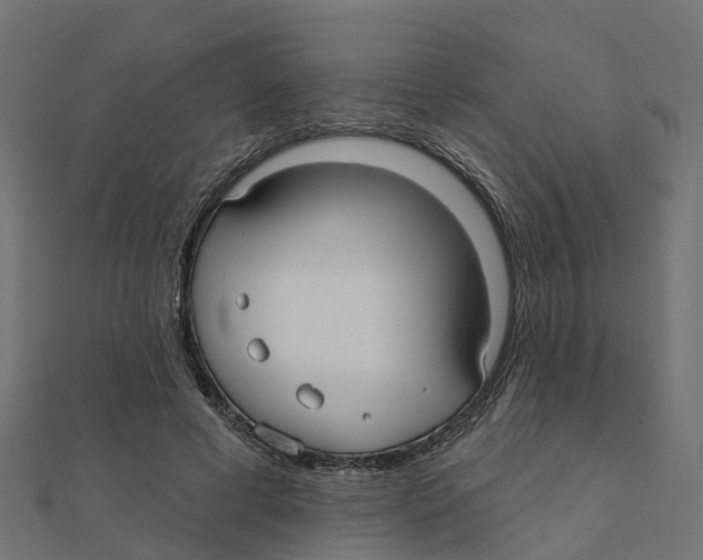 X0000111240593200907301308