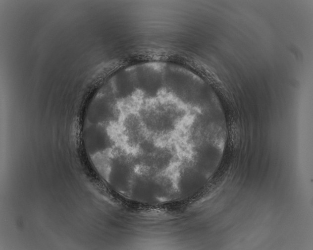 X0000111240594200907301308