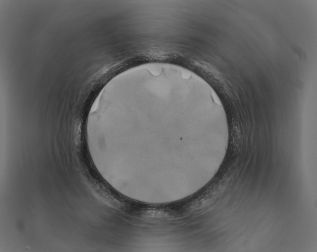 X0000111240596200907301308