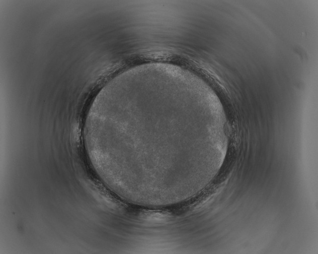 X0000111240597200907301308