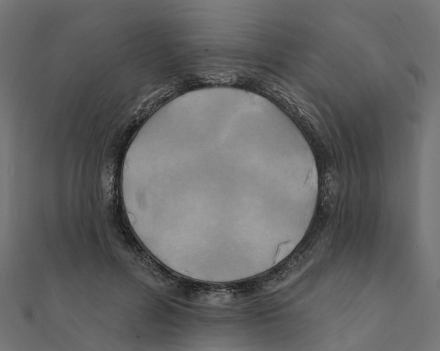 X0000111240600200907301308