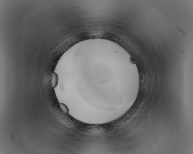 X0000111240601200907301308