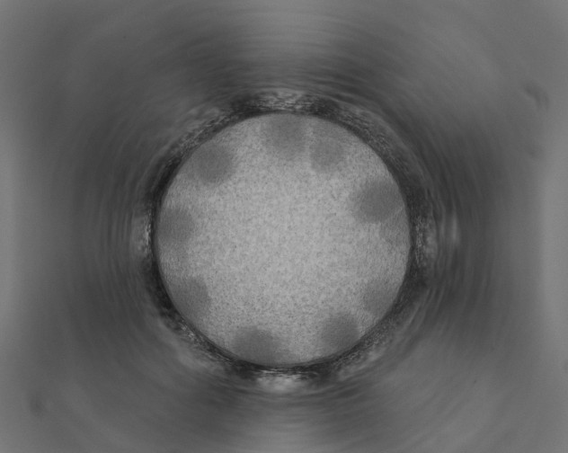 X0000111240602200907301308