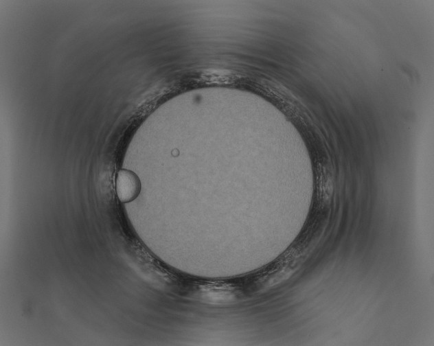 X0000111240603200907301308