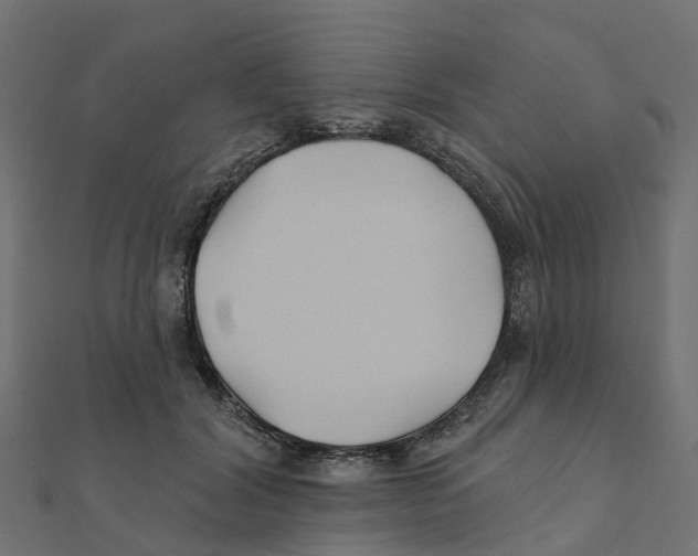 X0000111240604200907301308