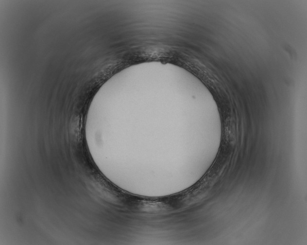 X0000111240605200907301308