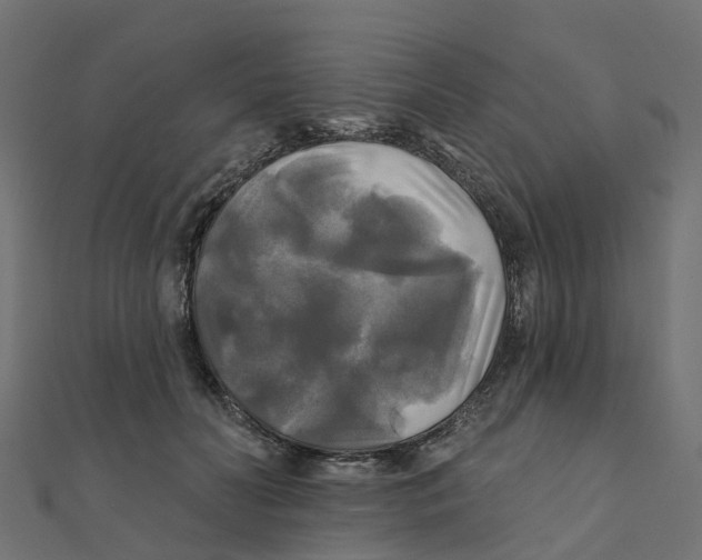 X0000111240606200907301308