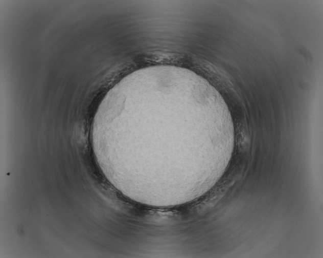 X0000111240607200907301308