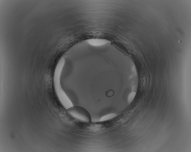 X0000111240609200907301308