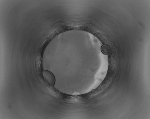 X0000111240612200907301308