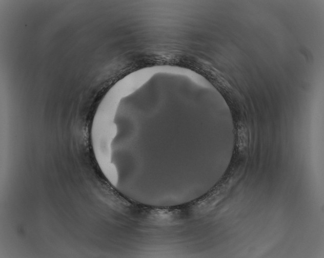 X0000111240613200907301308