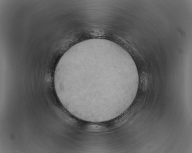 X0000111240614200907301308