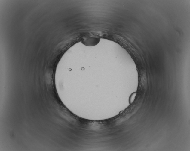 X0000111240616200907301308