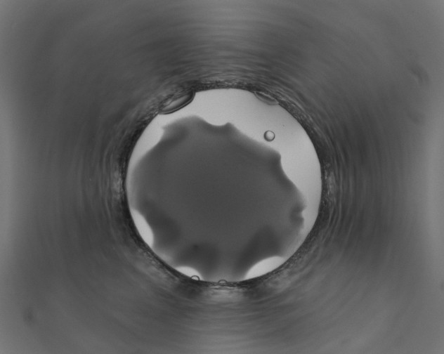 X0000111240617200907301308
