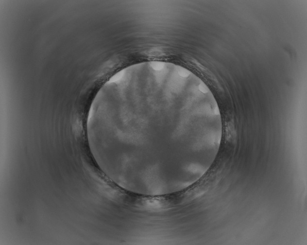 X0000111240618200907301308